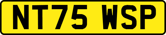 NT75WSP