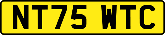 NT75WTC