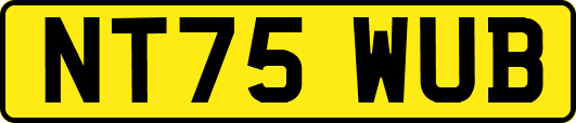 NT75WUB