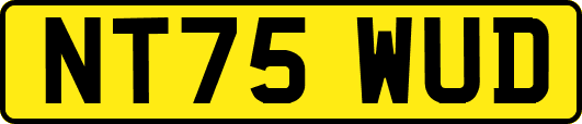 NT75WUD