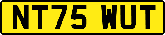 NT75WUT