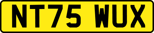 NT75WUX