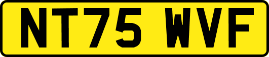 NT75WVF