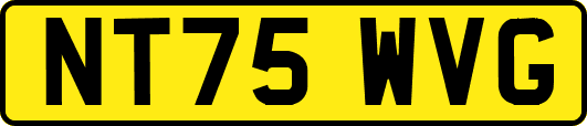 NT75WVG