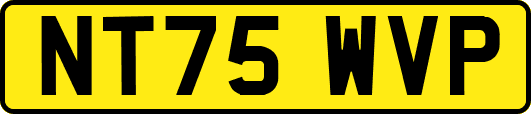 NT75WVP