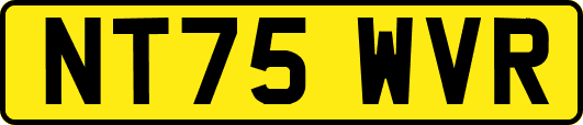 NT75WVR