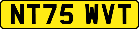 NT75WVT