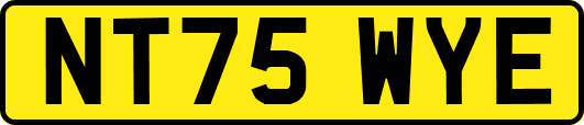 NT75WYE