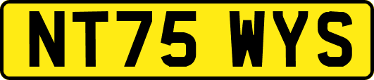 NT75WYS