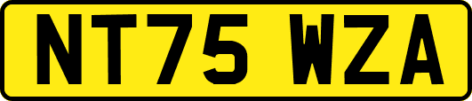 NT75WZA