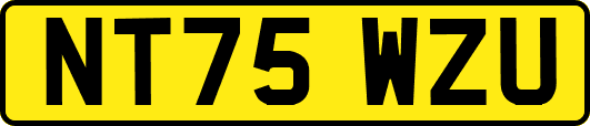NT75WZU