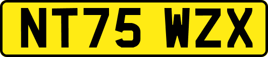 NT75WZX