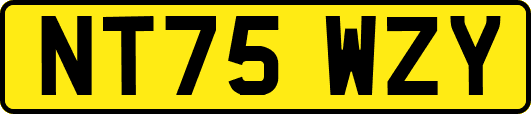 NT75WZY