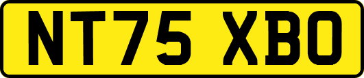NT75XBO