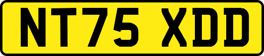 NT75XDD