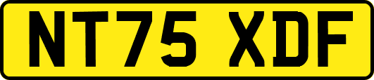 NT75XDF