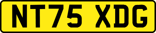 NT75XDG