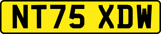 NT75XDW
