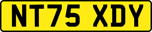 NT75XDY