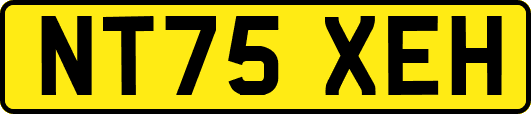NT75XEH