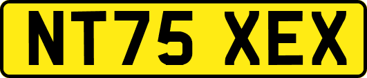 NT75XEX