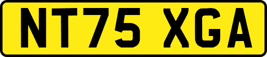 NT75XGA