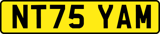 NT75YAM