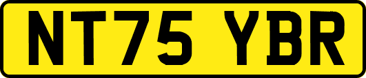 NT75YBR