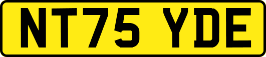 NT75YDE