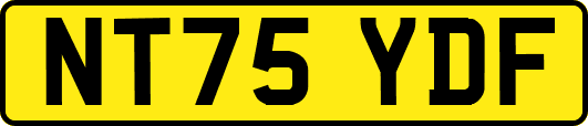 NT75YDF