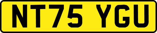 NT75YGU