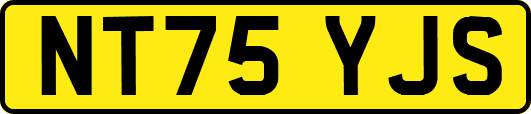 NT75YJS