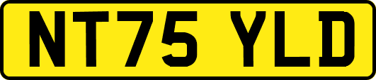 NT75YLD