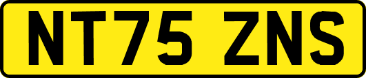 NT75ZNS
