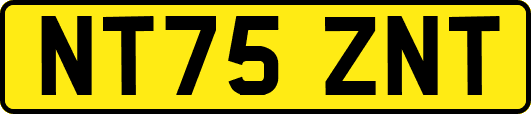 NT75ZNT