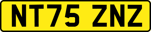NT75ZNZ
