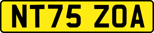 NT75ZOA