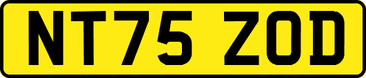 NT75ZOD