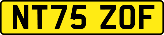 NT75ZOF