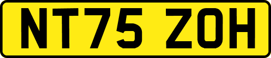 NT75ZOH