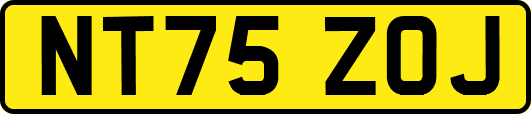 NT75ZOJ