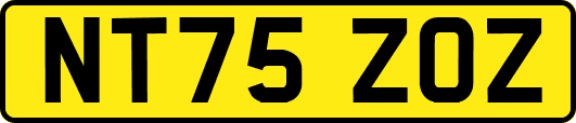 NT75ZOZ