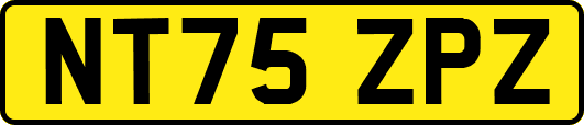 NT75ZPZ