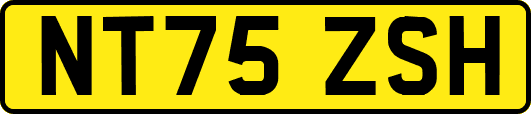 NT75ZSH