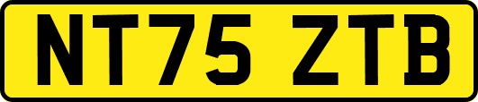 NT75ZTB
