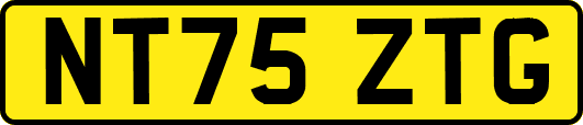 NT75ZTG