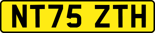 NT75ZTH