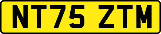 NT75ZTM