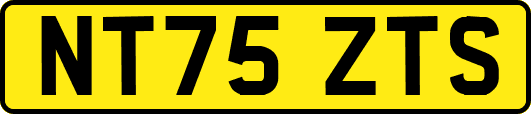 NT75ZTS