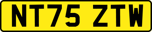 NT75ZTW